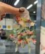 缩略图 9