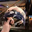 缩略图 2