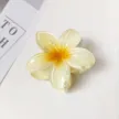 缩略图 8