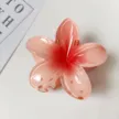 缩略图 6