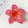 缩略图 7