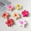 缩略图 1