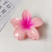 缩略图 5