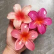 缩略图 2