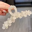 缩略图 7