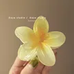 缩略图 6
