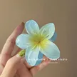 缩略图 7