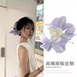 缩略图 7