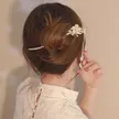 缩略图 1
