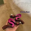 缩略图 5