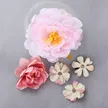 缩略图 8
