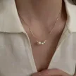 缩略图 7