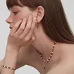 缩略图 1