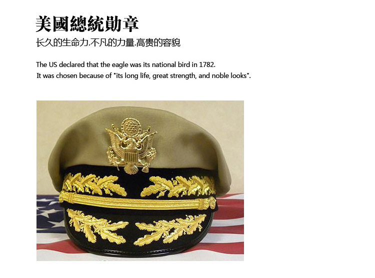 徽章18