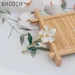 缩略图 6