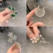 缩略图 2