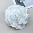 缩略图 5
