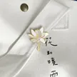 缩略图 8