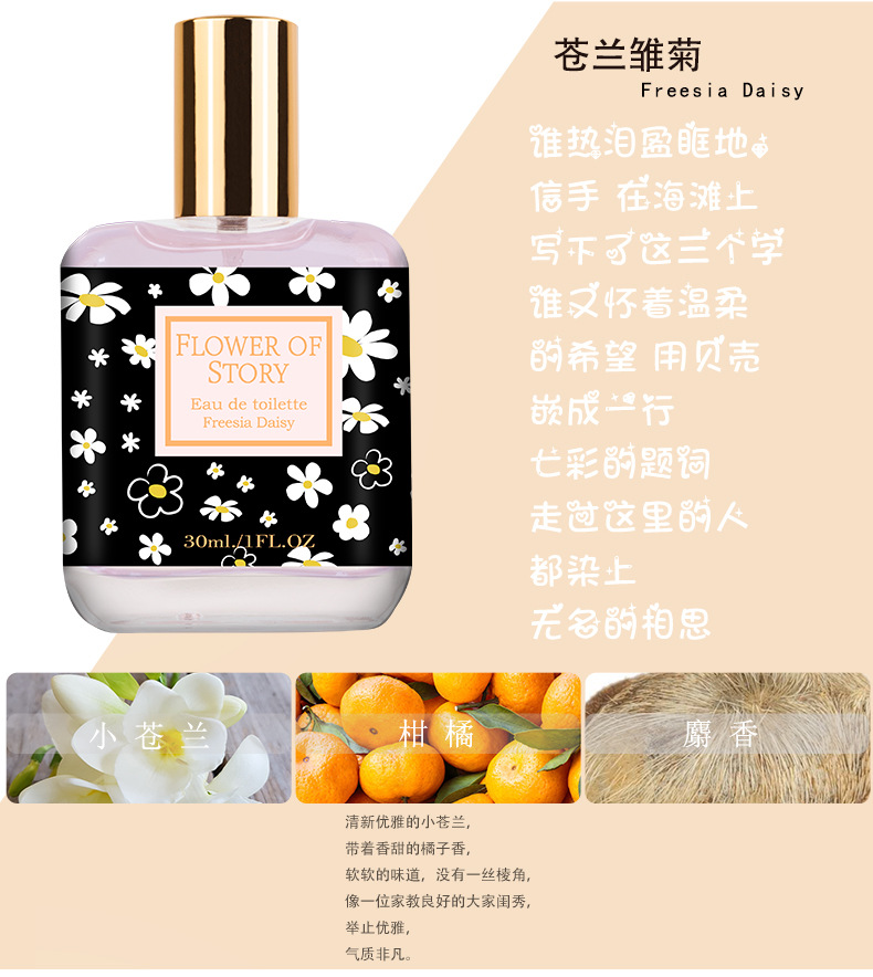 总系列详情_09