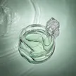 缩略图 3