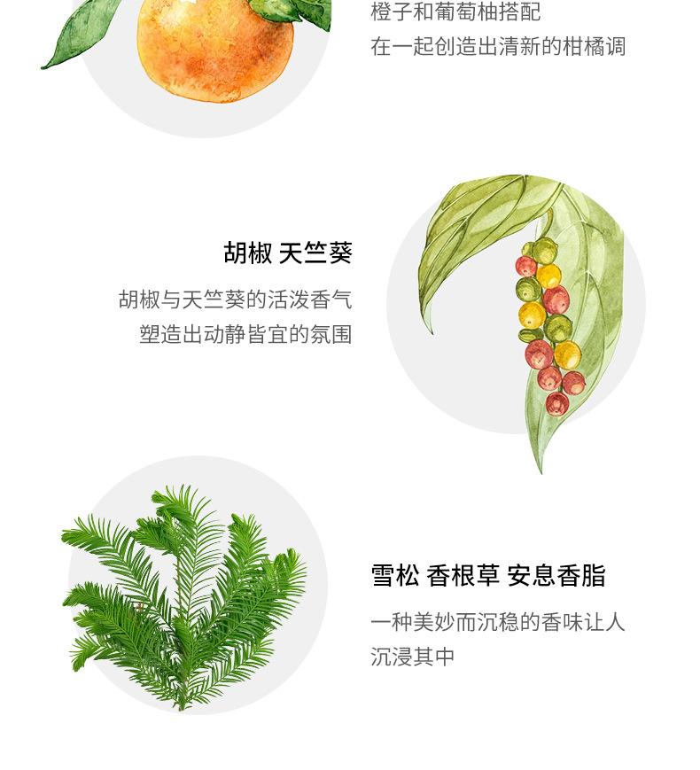 大地详情_08.jpg