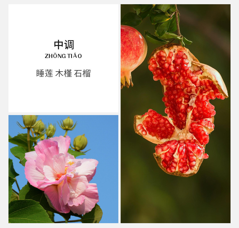 详情_05.jpg