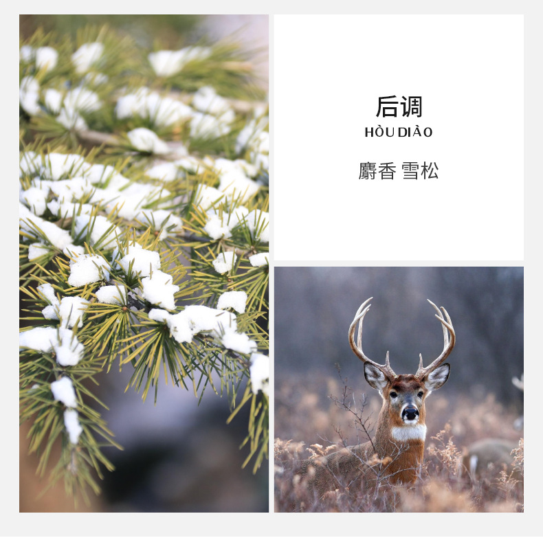 详情_06.jpg
