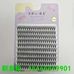 缩略图 10