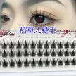 缩略图 5