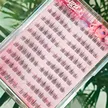 缩略图 2