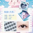 缩略图 8