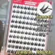 缩略图 3