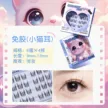 缩略图 6