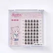缩略图 7