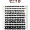 缩略图 2