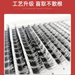 缩略图 3