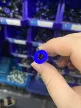 缩略图 4