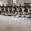 缩略图 2