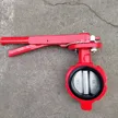 缩略图 4