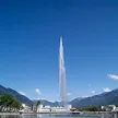 缩略图 4