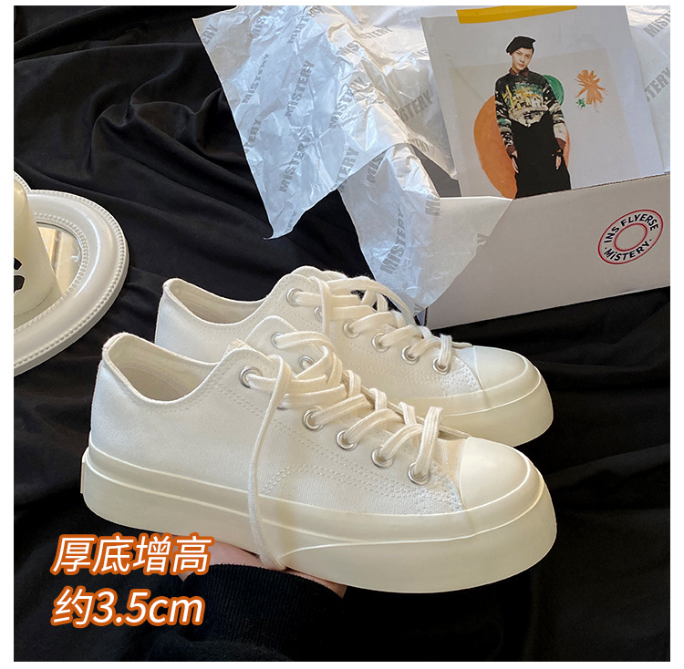 阿里508509_02.jpg