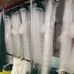 缩略图 2
