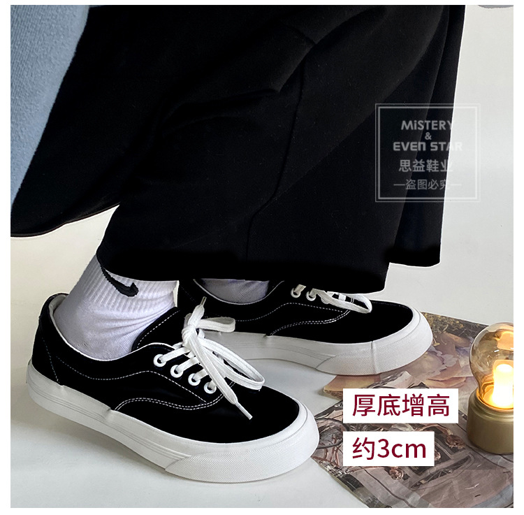 阿里503_03.jpg