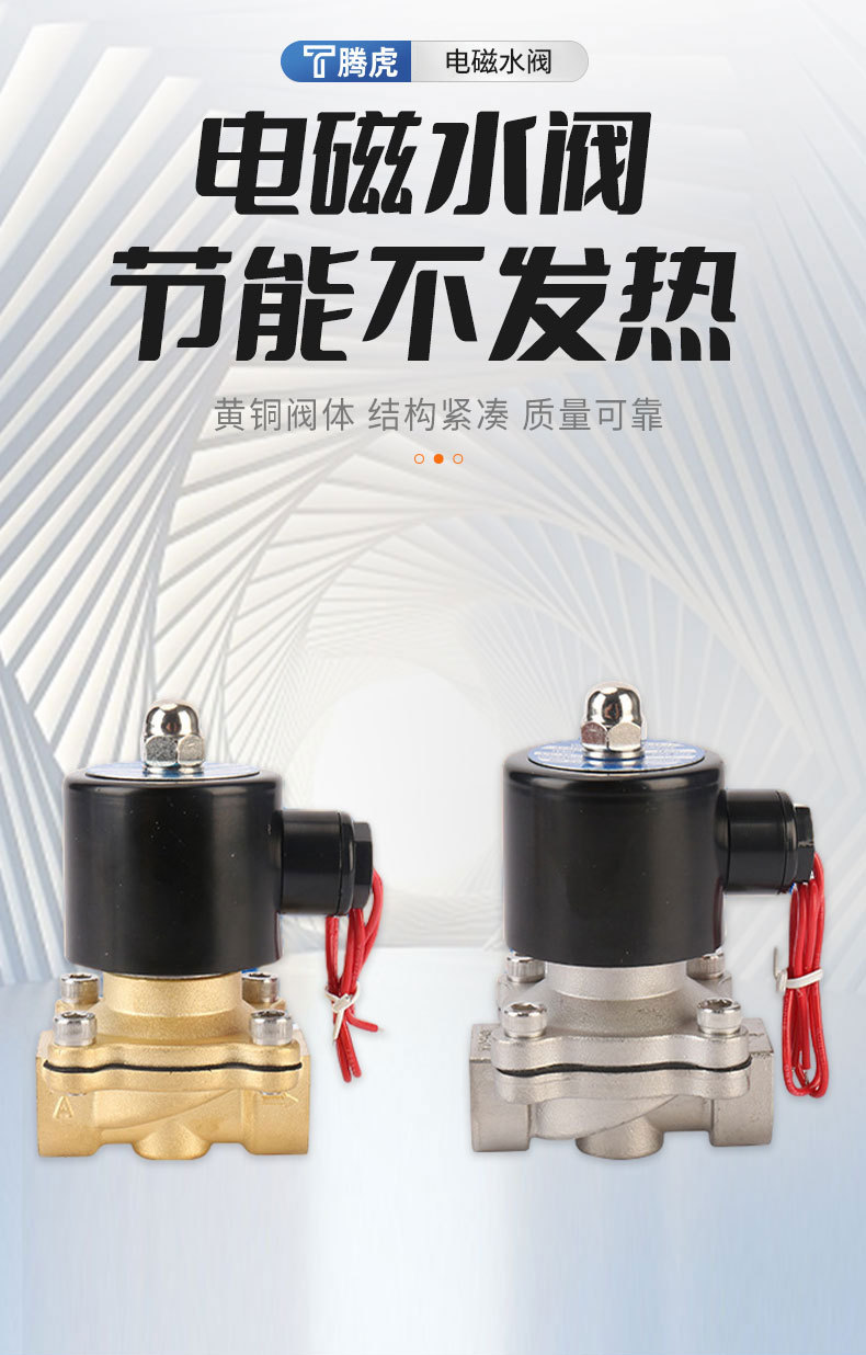 220v水下水用电磁阀铜阀直动式常闭电子控制开关阀电子阀水阀喷泉详情1