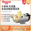 缩略图 2
