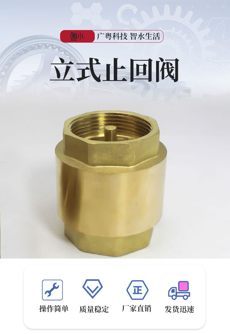 黄铜立式止回阀加厚自来水管道逆止阀单向阀弹簧式阀门4分6分1寸详情2