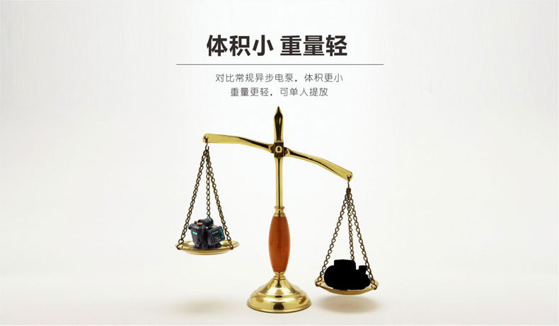 进化永磁变频自吸泵 抽水增压泵 家用全自动恒压智能自来水泵详情7