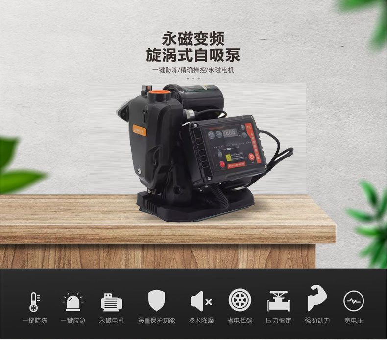 进化永磁变频自吸泵 抽水增压泵 家用全自动恒压智能自来水泵详情1