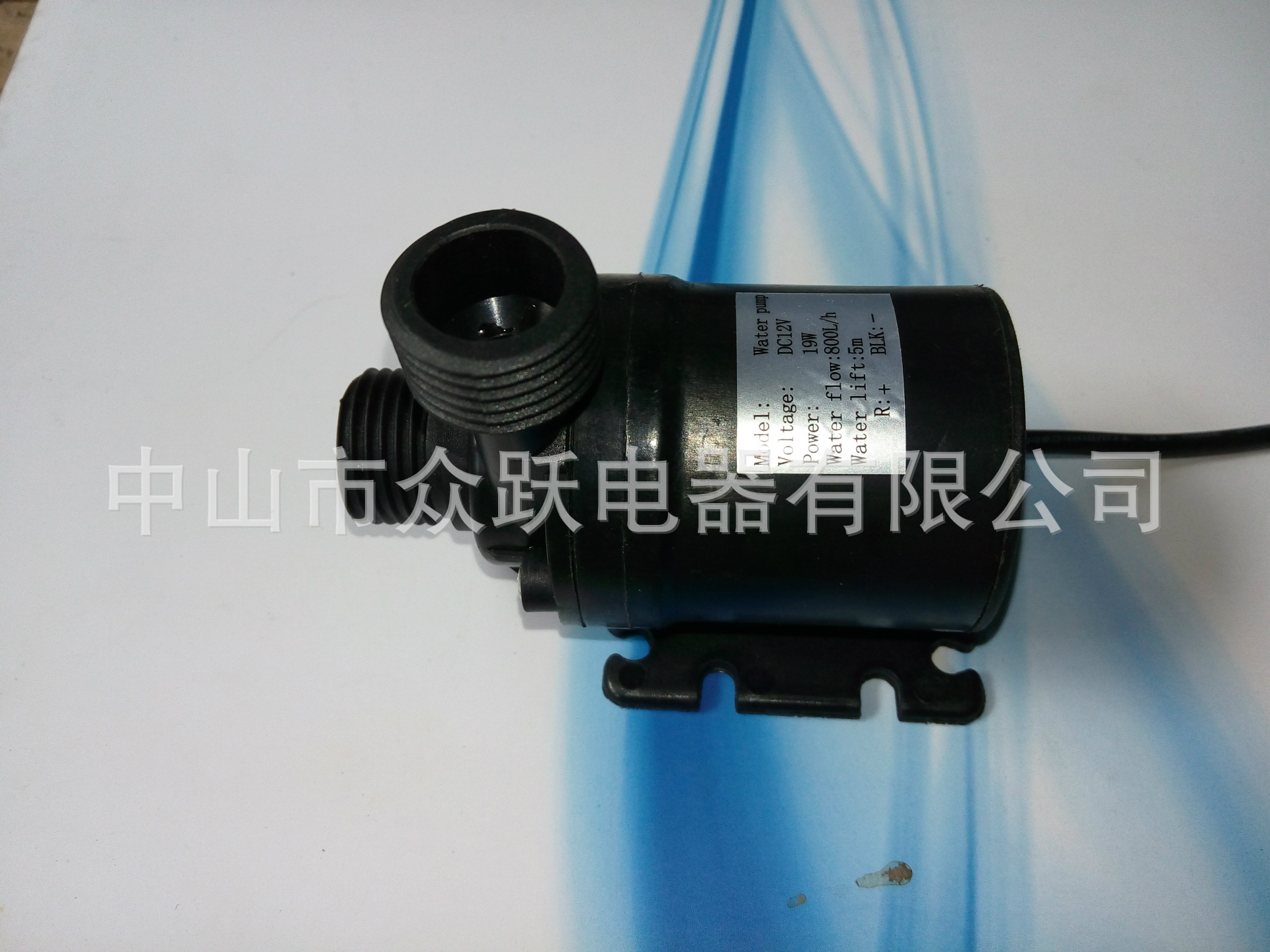 又外纹正