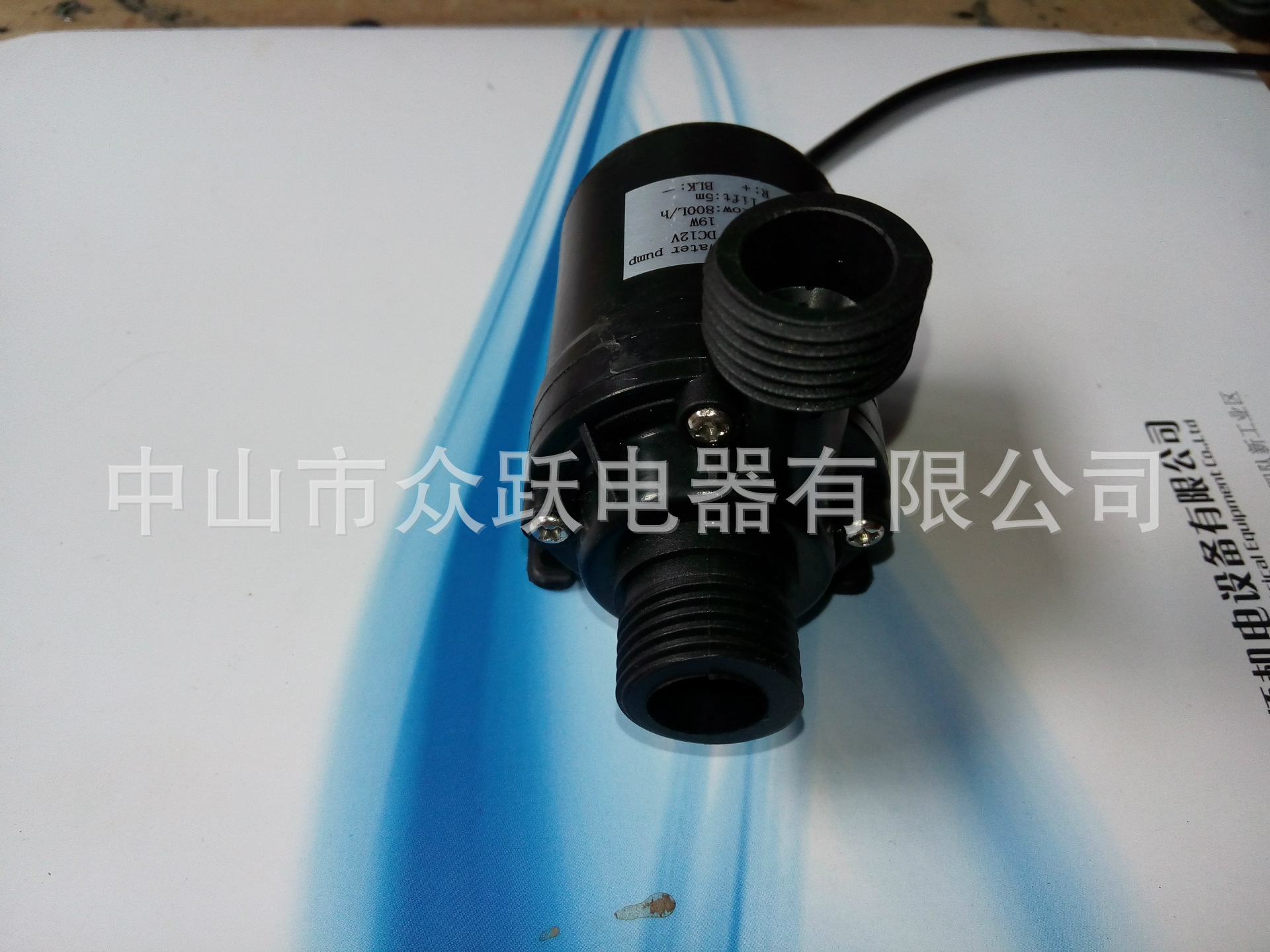 双外纹1